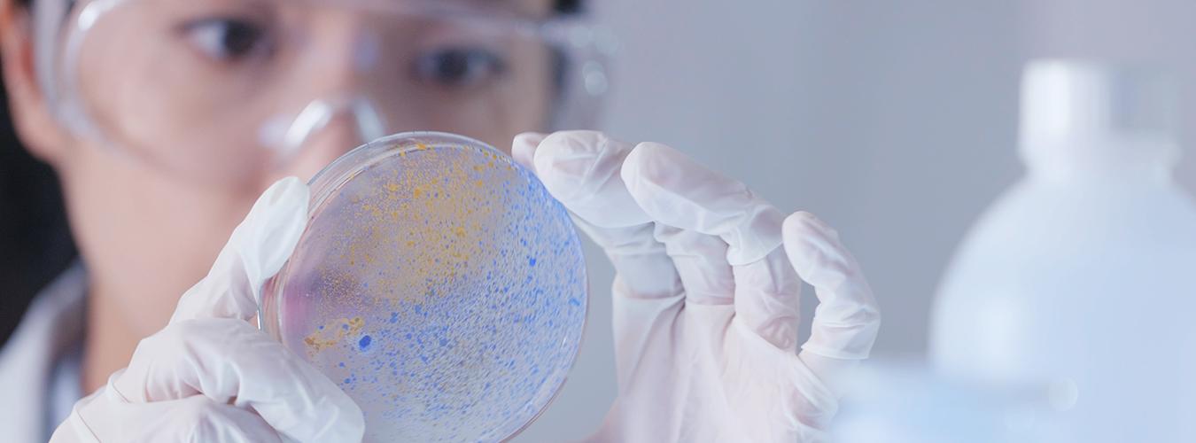 Journée Internationale des Femmes et des Filles de Science.